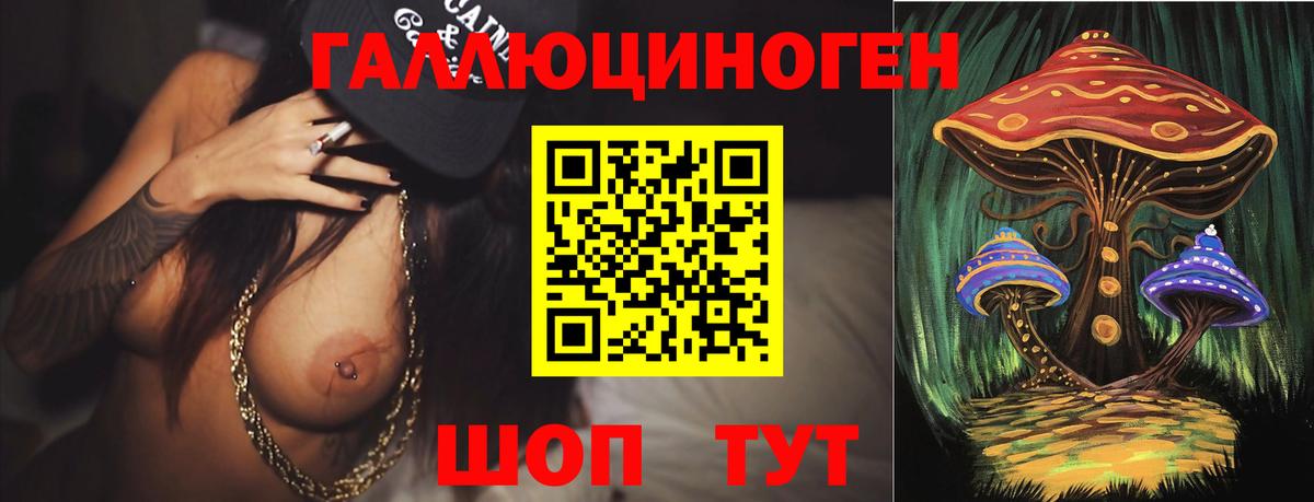 Прохладный  Галлюциногенные грибы Cubensis  Вход с VPN 