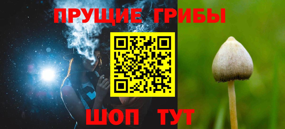 Псилоцибиновые грибы MAGIC MUSHROOMS Прохладный